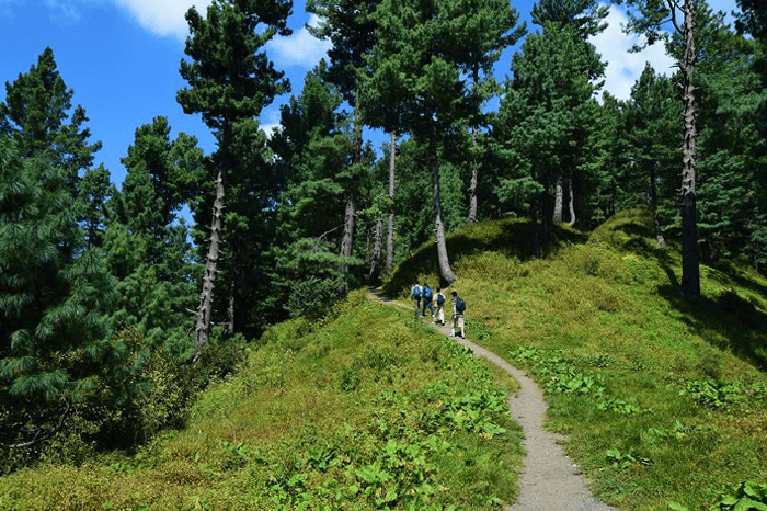 Miranjani Trek in Nathiagali